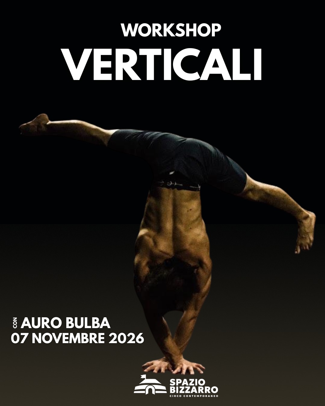 Workshop di Verticali con Auro Bulba, 7 novembre 2026
